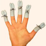 Finger gymnastics for preschoolers Finger gymnastics for preschoolers