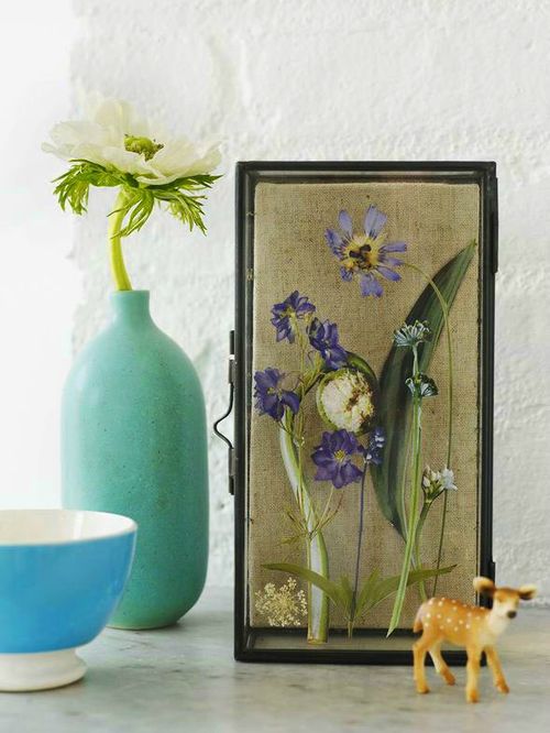Jak sušit květiny pro herbarium
