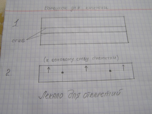 Jasná a kognitivní kniha-dítě