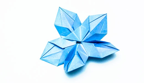 Jak vyrobit origami květ s vlastními rukama