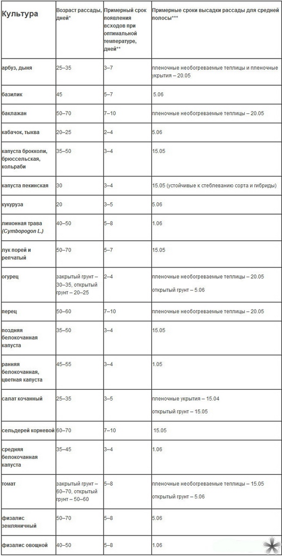 Kdy k vysazování sazenic na otevřené půdě?