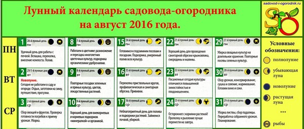 Lunární kalendář zahradník do srpna 2016 na Moskevské oblasti, středním Rusku, na Urale, na Sibiři, sever-západ, Bělorusku a na Ukrajině Lunární kalendář zahradník do srpna 2016 na Moskevské oblasti, středním Rusku, na Urale, na Sibiři, sever-západ, Bělorusku a na Ukrajině