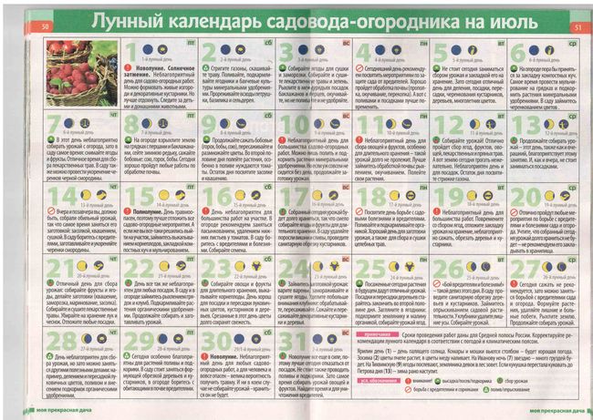 Měsíční kalendář zahradníka ve středním rozmezí 2015