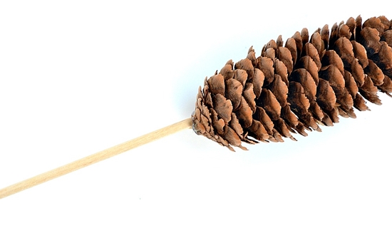 Řemesla vyrobená z přírodního materiálu: mini-dřevo s vlastními rukama