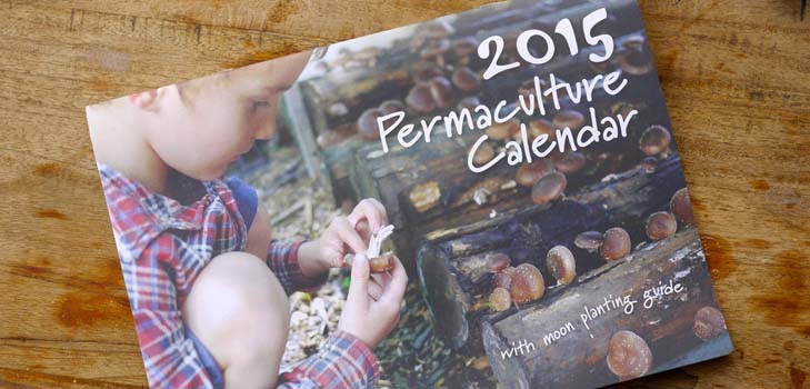 Výsevní kalendář 2015: plánujeme pracovat od ledna do prosince