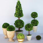 Péče o topiary Péče o topiary