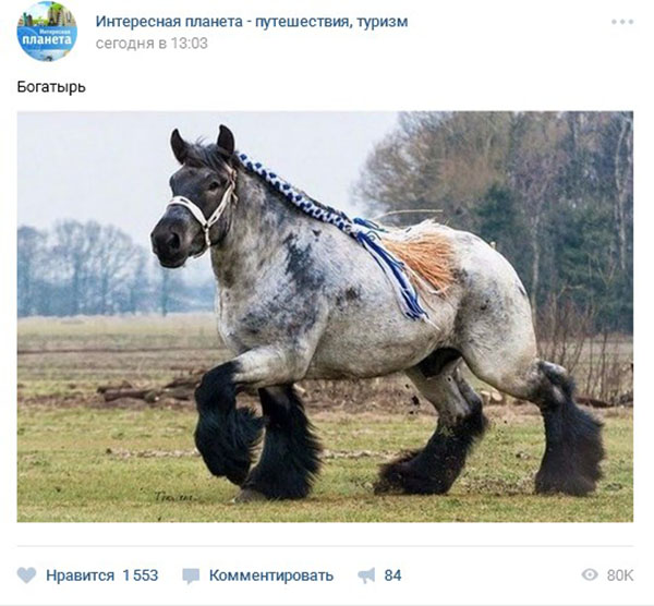 Jak jsou pohledy na VC