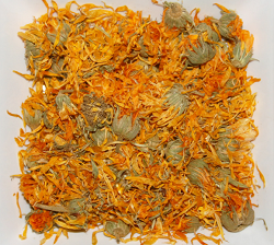 Infuze měsíčku