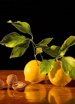 Zpevňující směs ořechů a citronů