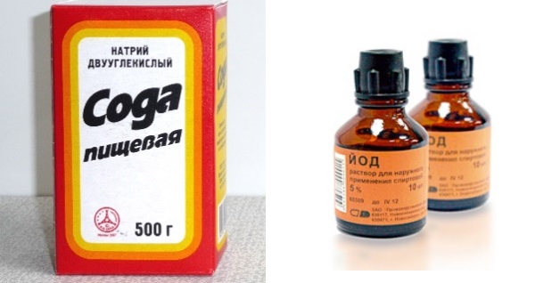 Rychlá léčba kašle doma s lidovými léky