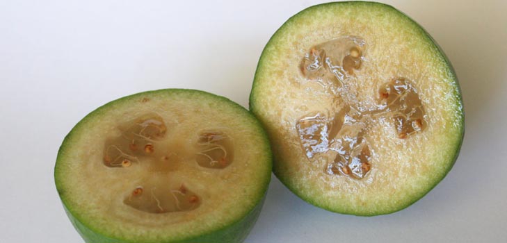 Feijoa - užitečné vlastnosti, výhody a poškození feijoa