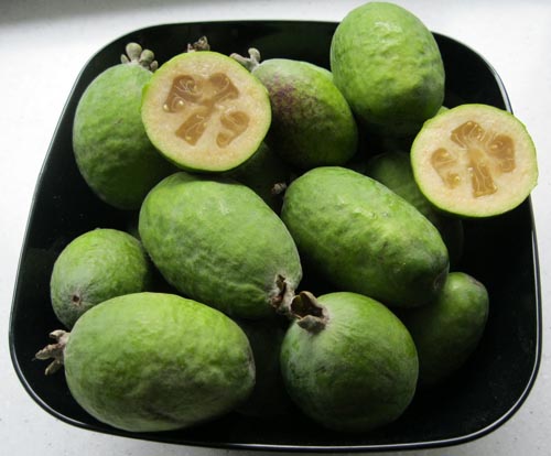 Feijoa - užitečné vlastnosti, výhody a poškození feijoa