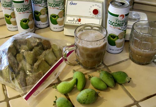 Feijoa - užitečné vlastnosti, výhody a poškození feijoa
