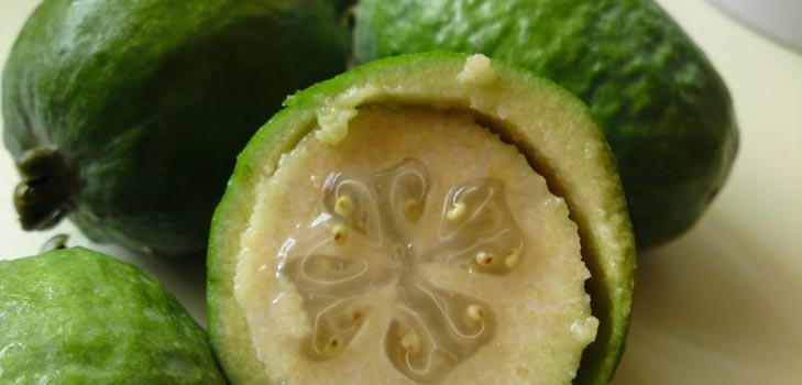 Jak jíst feijoa: Jak správně jíst feijoa