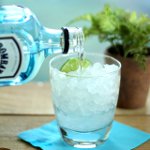 Jak pít gin