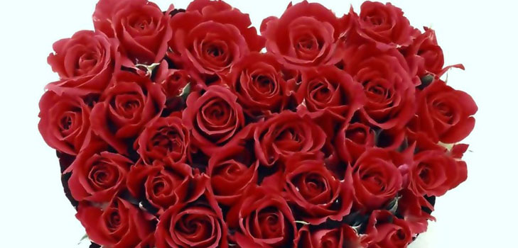 Jak poblahopřát dívce na Valentýna: nejlepší způsoby