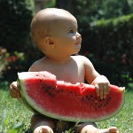 Jak si vybrat meloun Jak si vybrat meloun