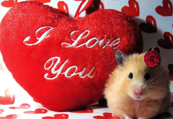 Blahopřejeme ke svatému Valentýnu