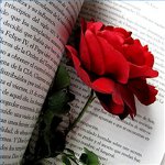 Gratulujeme k svatému Valentýnu ve verši Gratulujeme k svatému Valentýnu ve verši