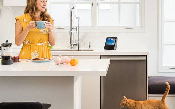 Inteligentní domácí akustika: systém Amazon Echo Show