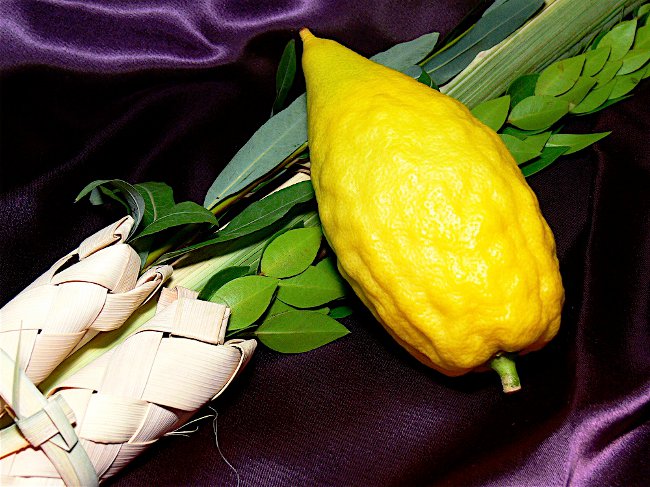 Sukkot: Šalasův svátek