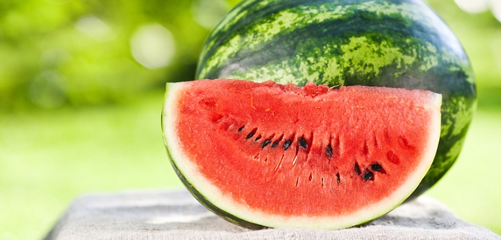 Nákup vodních melounů na zimu