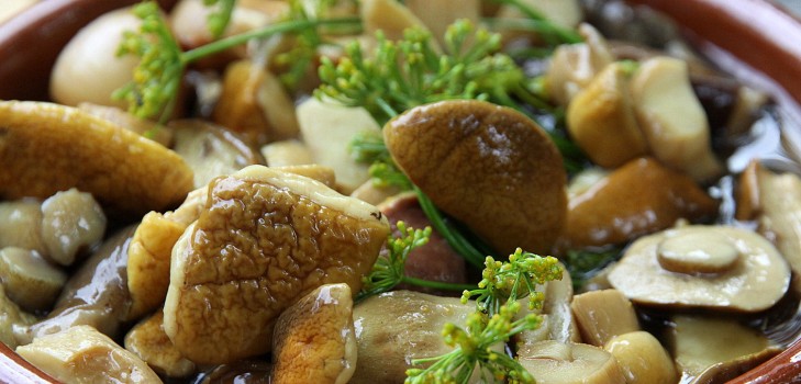 Bílé houby: recepty na vaření vynikajících jídel