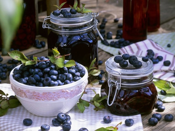 Blueberry recepty na zimu