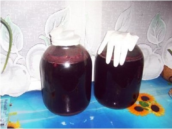 Domácí čerešňové víno, jednoduchý recept s vodkou, bez kvasnic. Jak si vyrobit třešňové víno doma s rukavicemi
