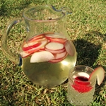 Foto receptury vína Sangria