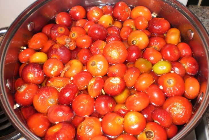 Jak připravit džem z dogrose na zimu: recept na pět minutové občerstvení