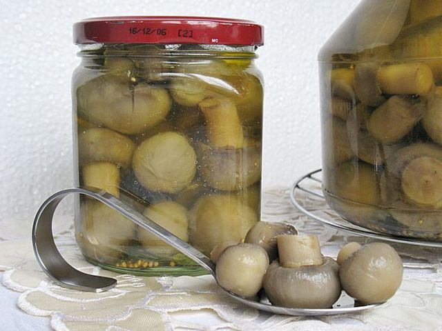 Marinované žampiony na zimu, klasický recept Marinované žampiony na zimu, klasický recept