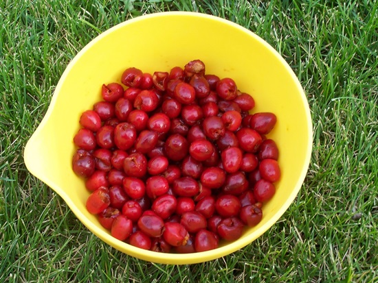 Aromatický kompot z třešně pro zimní recept