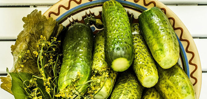Lehce slaná křupavá okurka - recept
