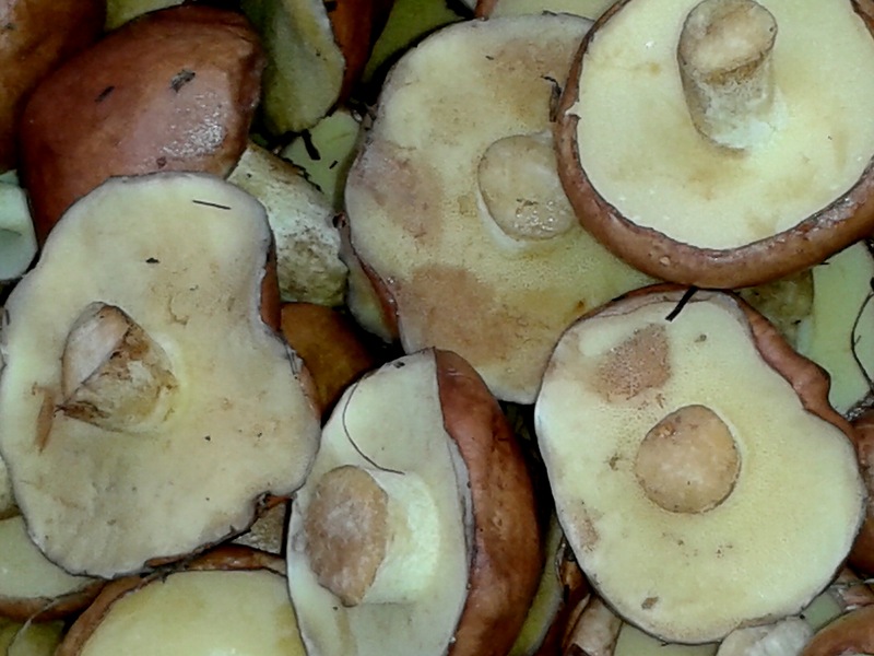 Marinované mastné: krok za krokem recept