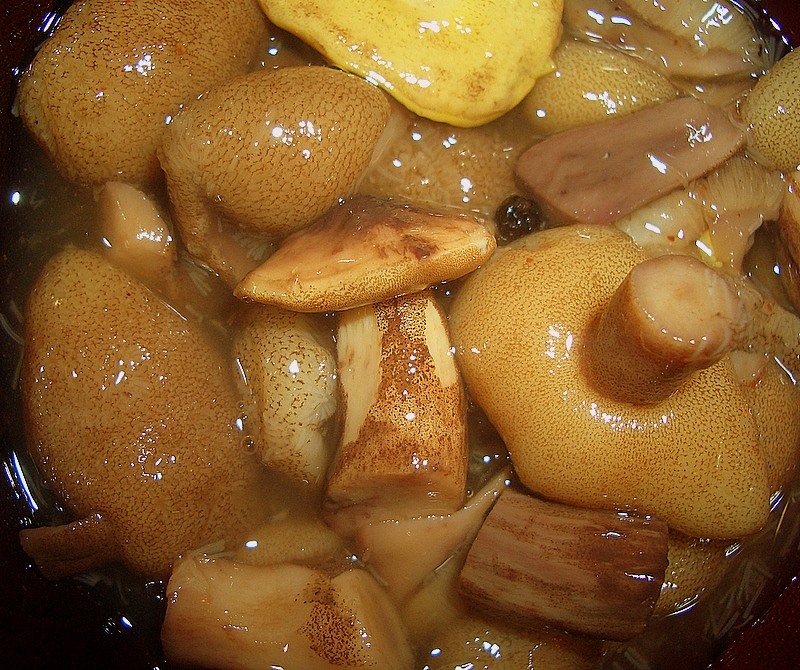 Marinované mastné: krok za krokem recept