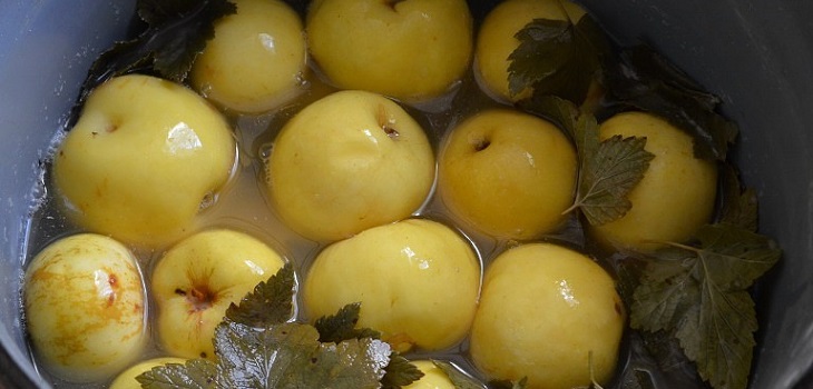 Recept na mokré jablka