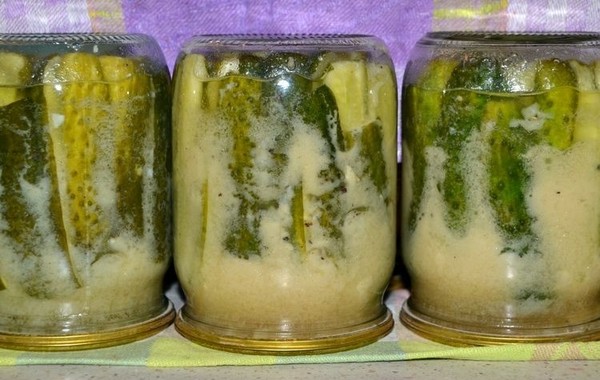 Okurky s hořčicí na zimu bez sterilizace as ní, teplým a studeným způsobem. Salát z přezrálých okurky s hořčicí