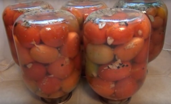 Rajčata s česnekem na zimu, recepty. Sklizeň rajčat s česnekem na zimu: recept na rychlé vaření, bez sterilizace, solené bez koupání