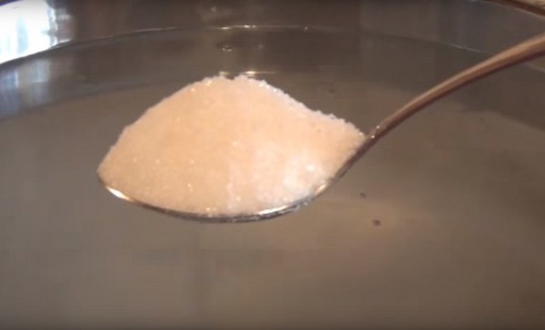Rajčata s česnekem na zimu, recepty. Sklizeň rajčat s česnekem na zimu: recept na rychlé vaření, bez sterilizace, solené bez koupání