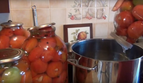 Rajčata s česnekem na zimu, recepty. Sklizeň rajčat s česnekem na zimu: recept na rychlé vaření, bez sterilizace, solené bez koupání