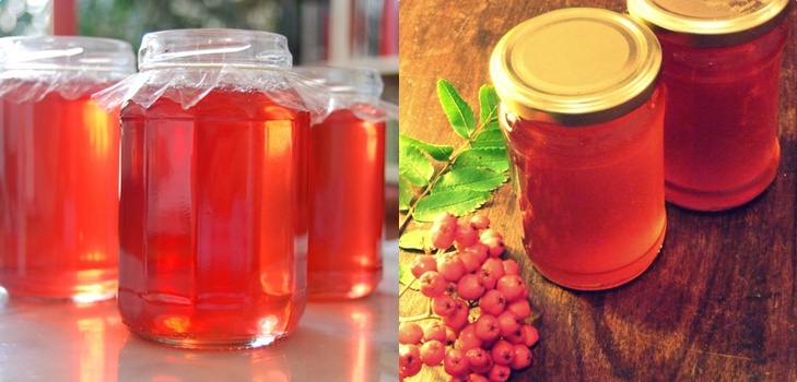 Rowan na zimu: recepty na předvalky z obvyklé červené a černé chokeberry
