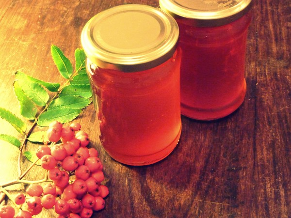 Rowan na zimu: recepty na předvalky z obvyklé červené a černé chokeberry