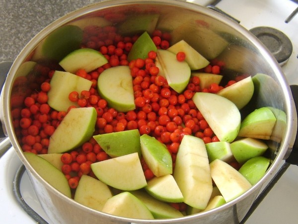 Rowan na zimu: recepty na předvalky z obvyklé červené a černé chokeberry