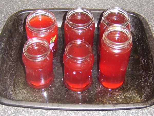 Rowan na zimu: recepty na předvalky z obvyklé červené a černé chokeberry