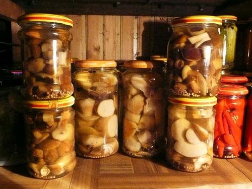 Raž: jednoduché a chutné recepty na vaření