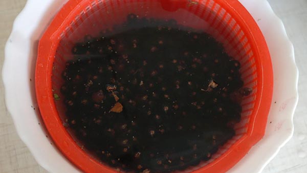 Rýže s cukrem na zimu bez vaření, Pyatiminutka, zmrazená. Rýže recept, strouhaný s cukrem na zimu (bez ledničky)