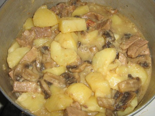 Sušené bílé houby: recepty na vaření
