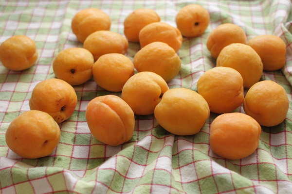 Meruňkový džem - královský recept