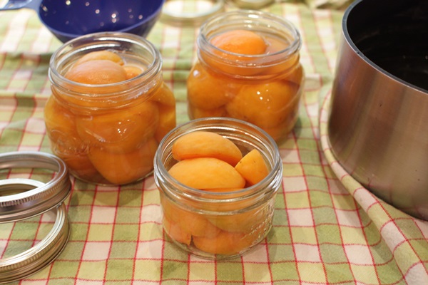 Meruňkový džem - královský recept